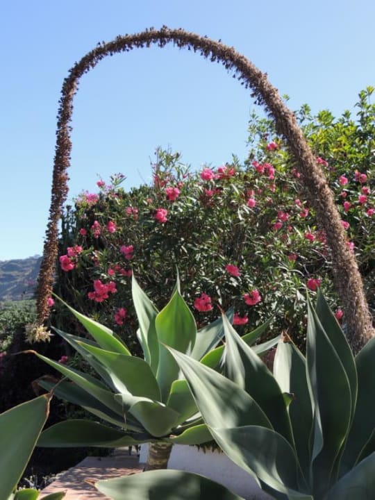 Ausblick von der Terrasse Finca El Rincon