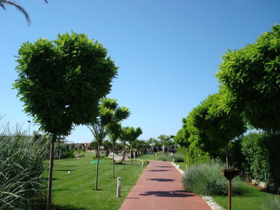 Promenade, die zum Strand führt Saturn Palace Resort Hotel
