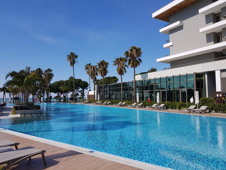 Pool Acanthus Cennet Barut Collection