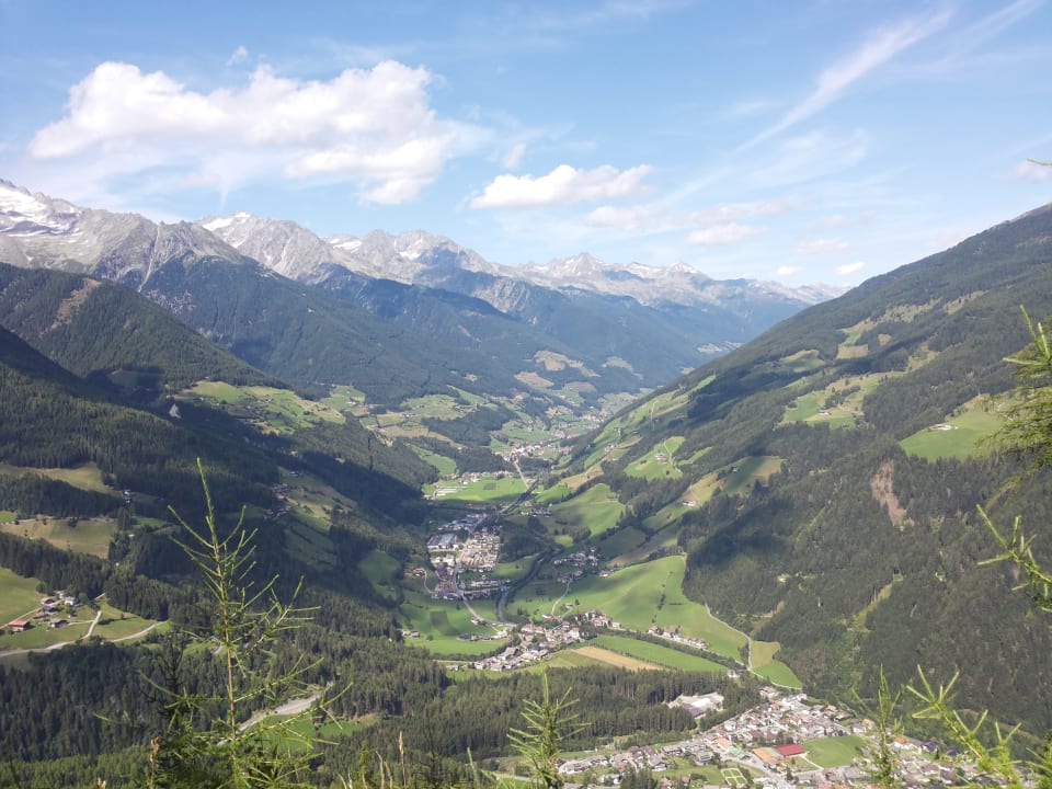 Sonstiges Niederkoflhof