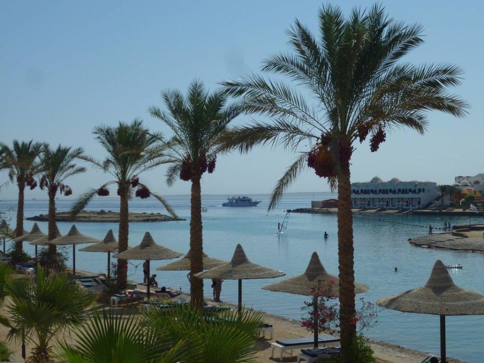 Ausblick aus Zimmer 228 Arabia Azur Resort