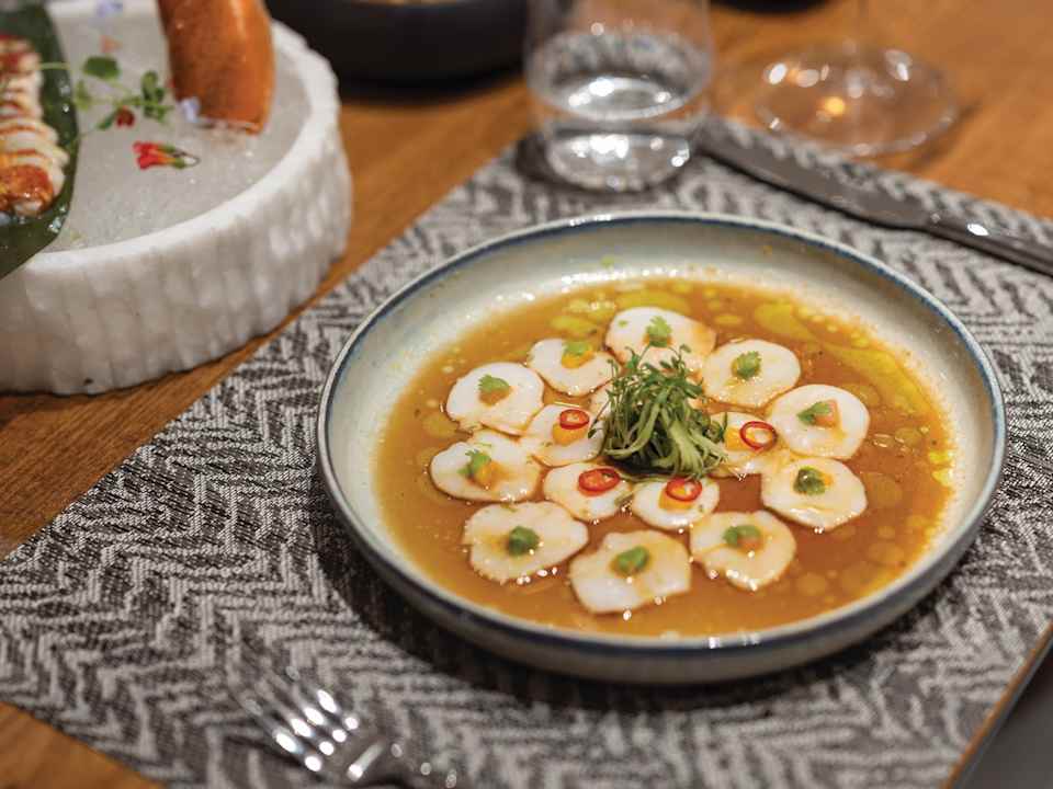 Gastro Liberty Signa