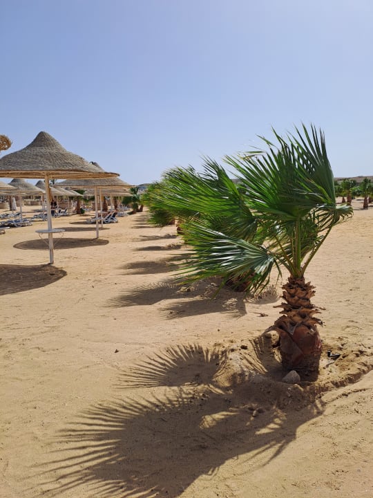 Strand Hilton Marsa Alam Nubian Resort