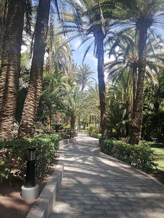 Gartenanlage Hotel Riu Palace Oasis