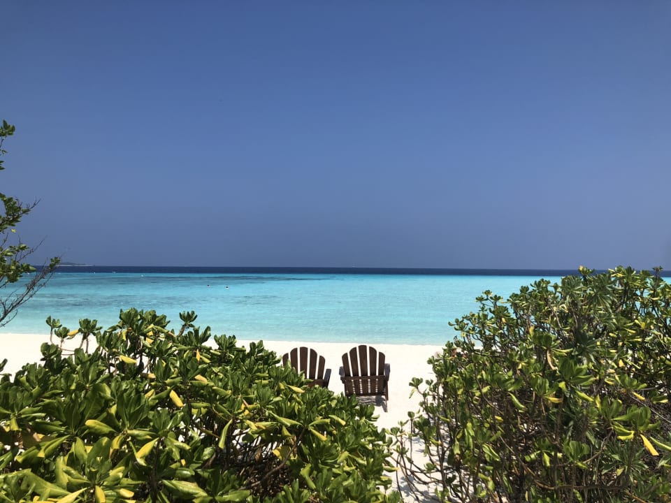 Strand Summer Island Maldives