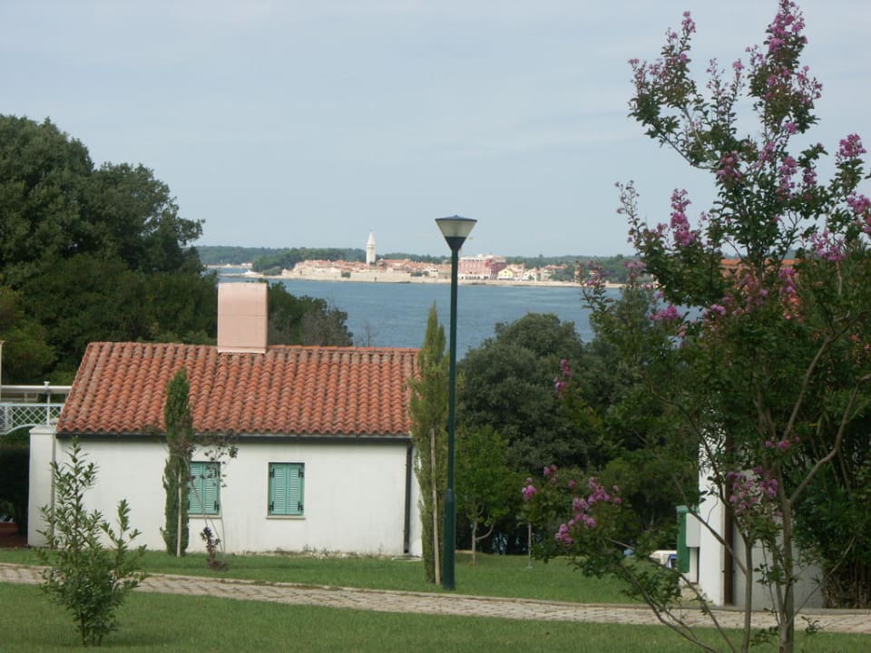 Blick auf Buchte & Novigrad Valamar Tamaris Villas