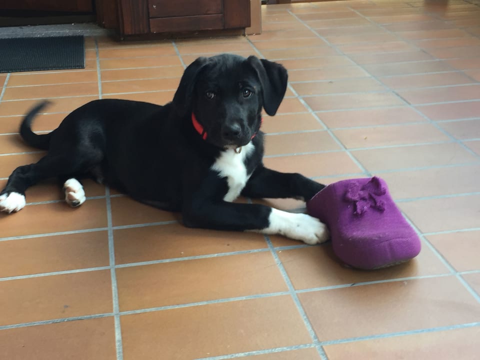 Sonstiges Hotel Pineta