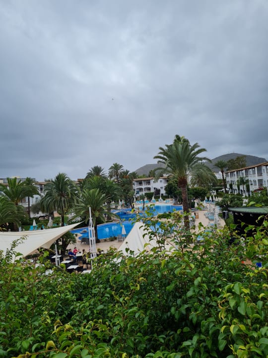 Ausblick Alcudia Garden Aparthotel