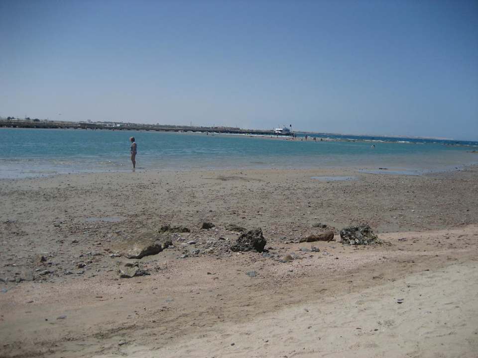 Strand bei Ebbe Pickalbatros Alf Leila Wa Leila Resort - Neverland Hurghada
