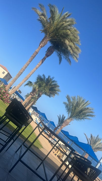 Gastro Pickalbatros Aqua Vista Resort - Hurghada