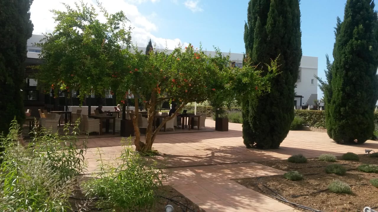 Garten mit Bar im Hintergrund  Fuerte Conil-Resort