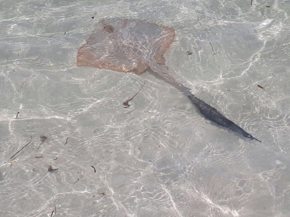 Strand Kuredu Island Resort & Spa