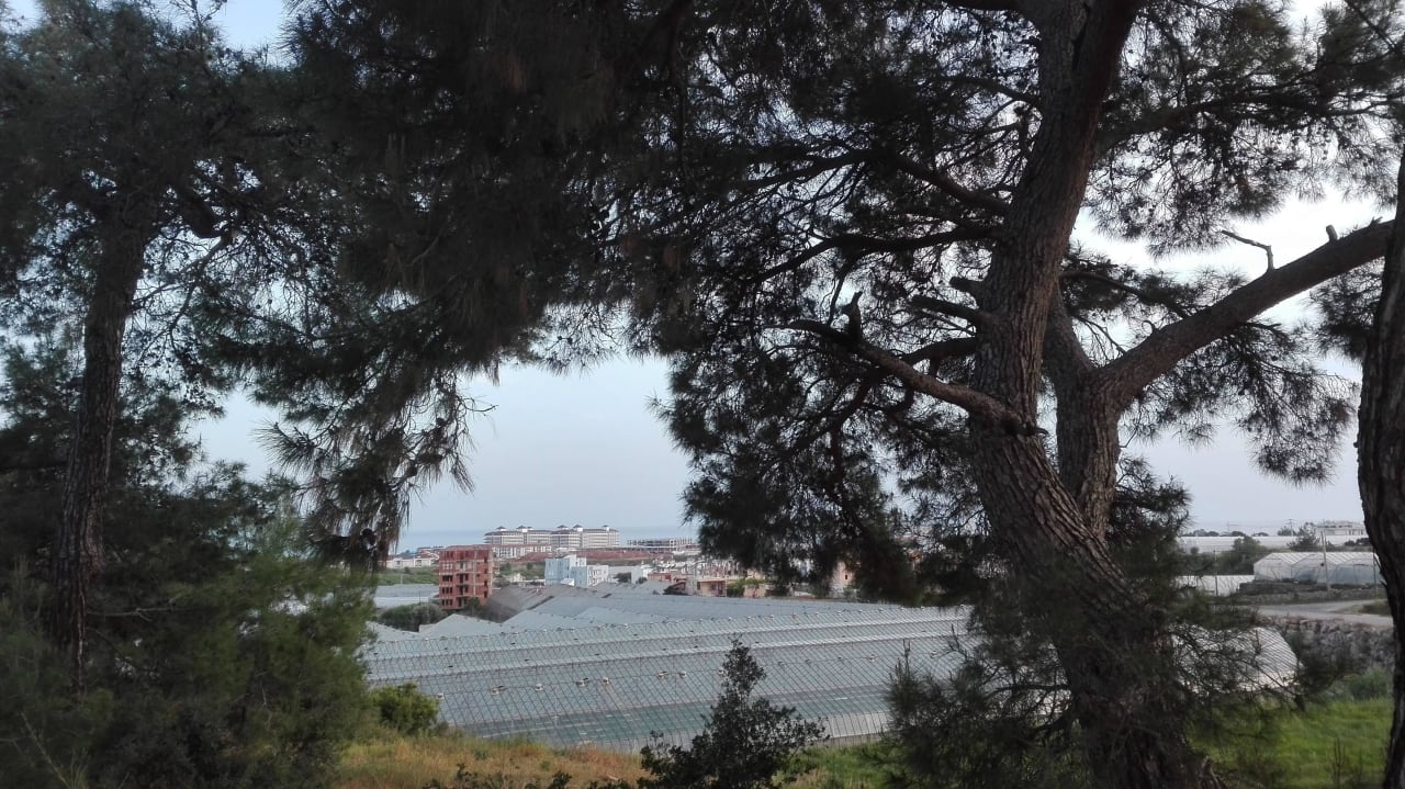 Eftalia Aqua Eftalia Aqua Resort