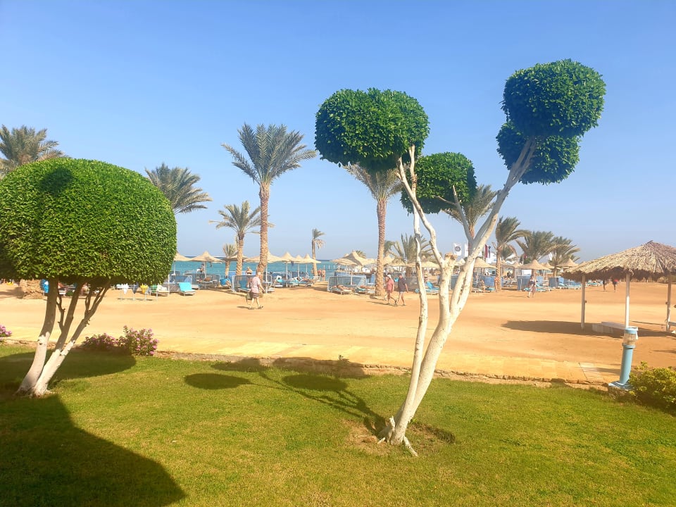 Ausblick LABRANDA Club Makadi