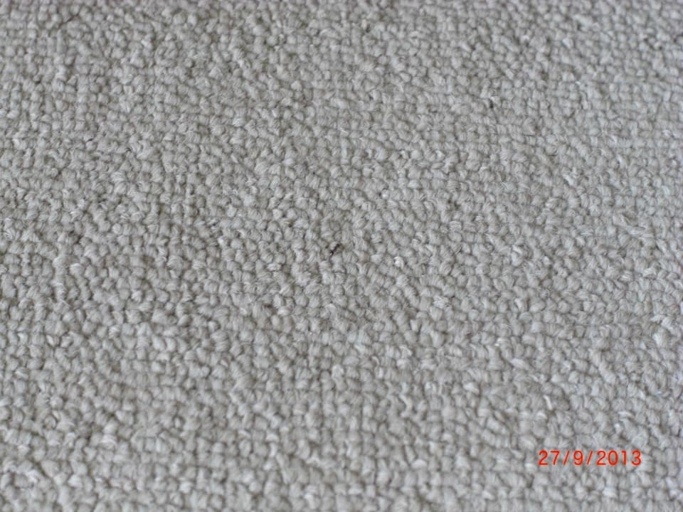 Unsere kleinen Farm Ameisen Sol Luna Bay