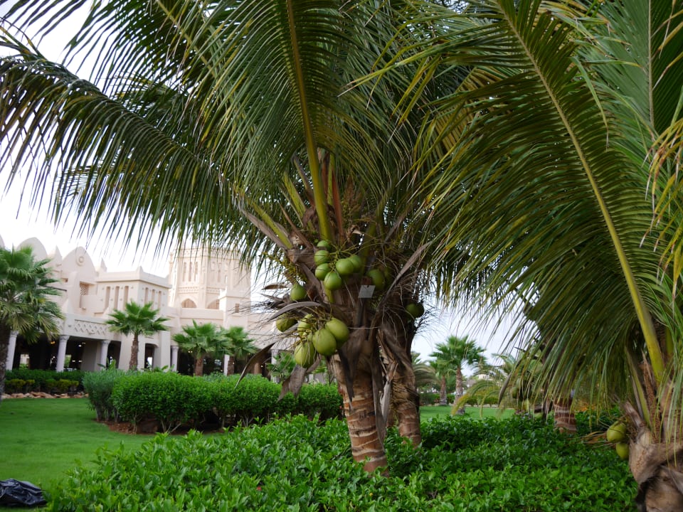Außenansicht Hotel Riu Touareg