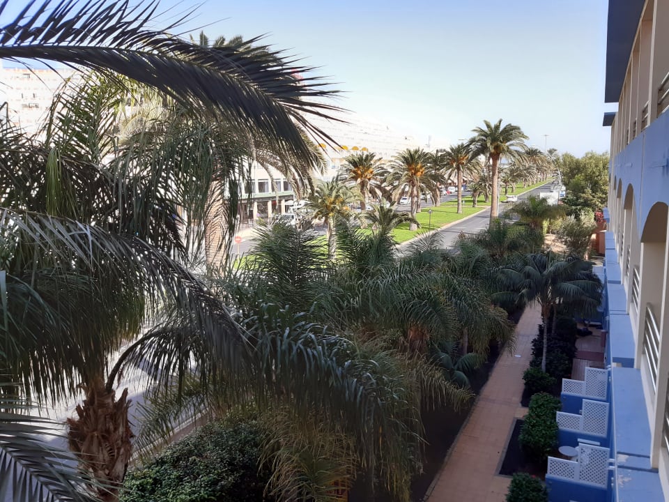 Ausblick IFA Altamarena by Lopesan Hotels