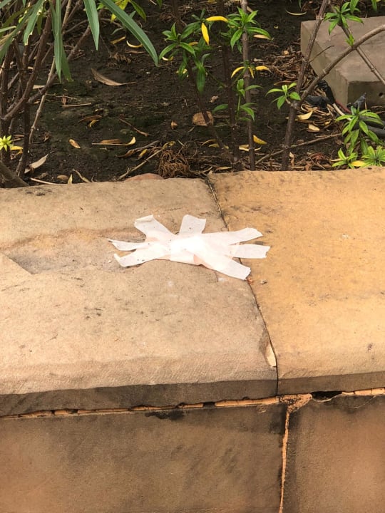 Pool Hotel Century Park