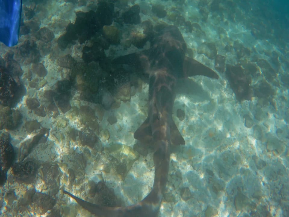 Sport & Freizeit Meeru Maldives Resort Island