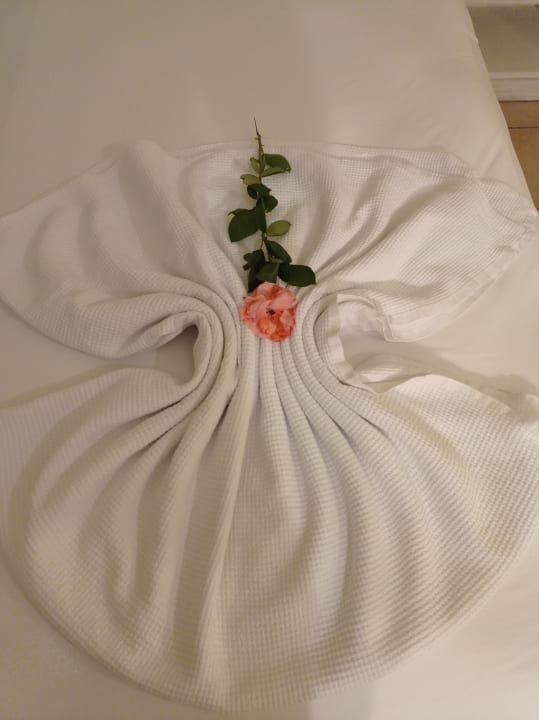 Zimmer Asteria Family Resort Side