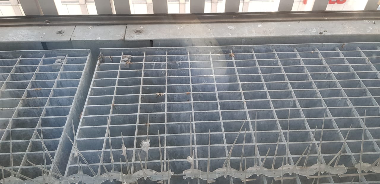 Zimmer me and all hotel Ulm