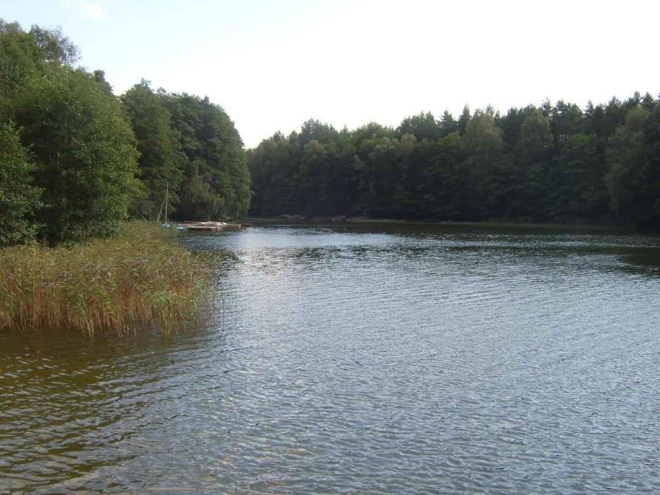 Der See fast vor der Tür Campingoase Waldsee