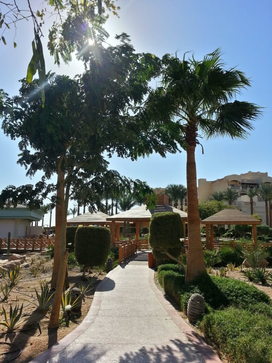 Garten Tropitel Sahl Hasheesh