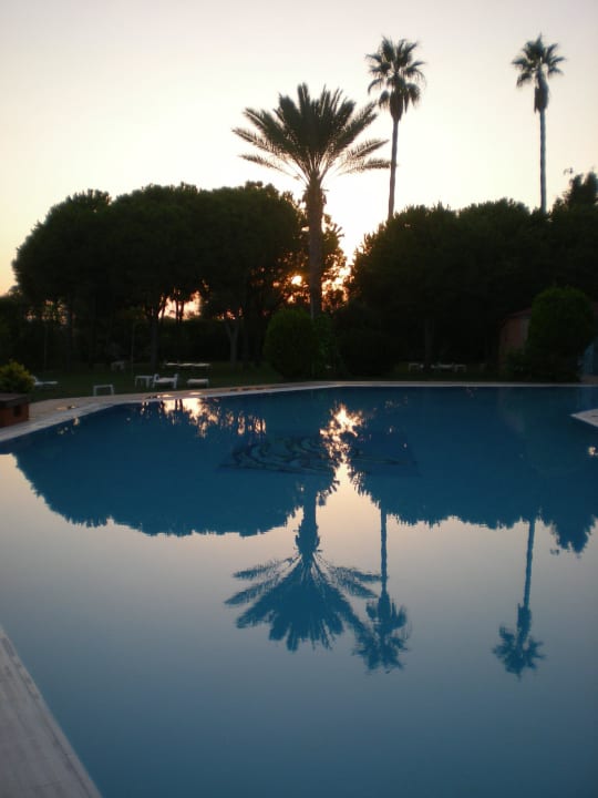 Kleiner  Pool Club Turtas Beach Hotel