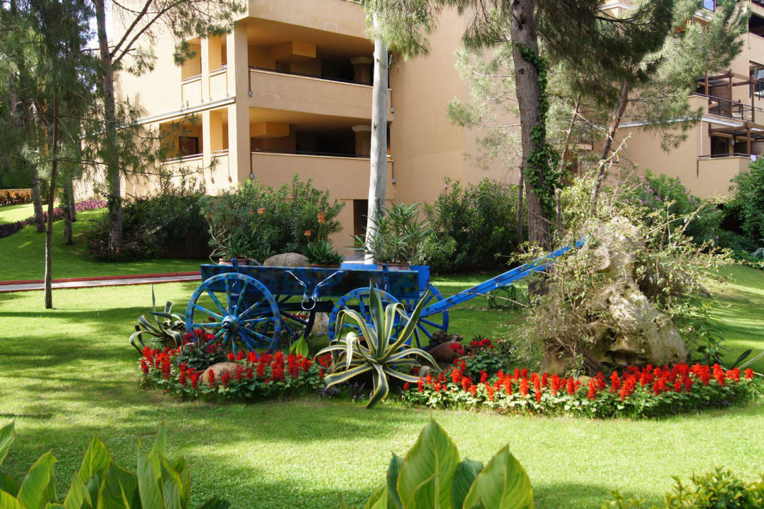 Kutschenmotiv mit Blumen Asteria Family Belek