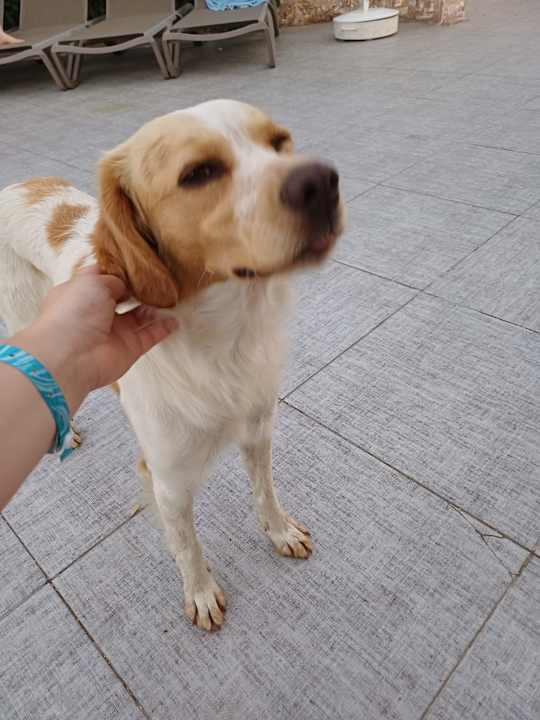 Gartenanlage Club Resort Atlantis