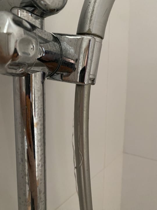 Zimmer Paradise Bay Resort Hotel