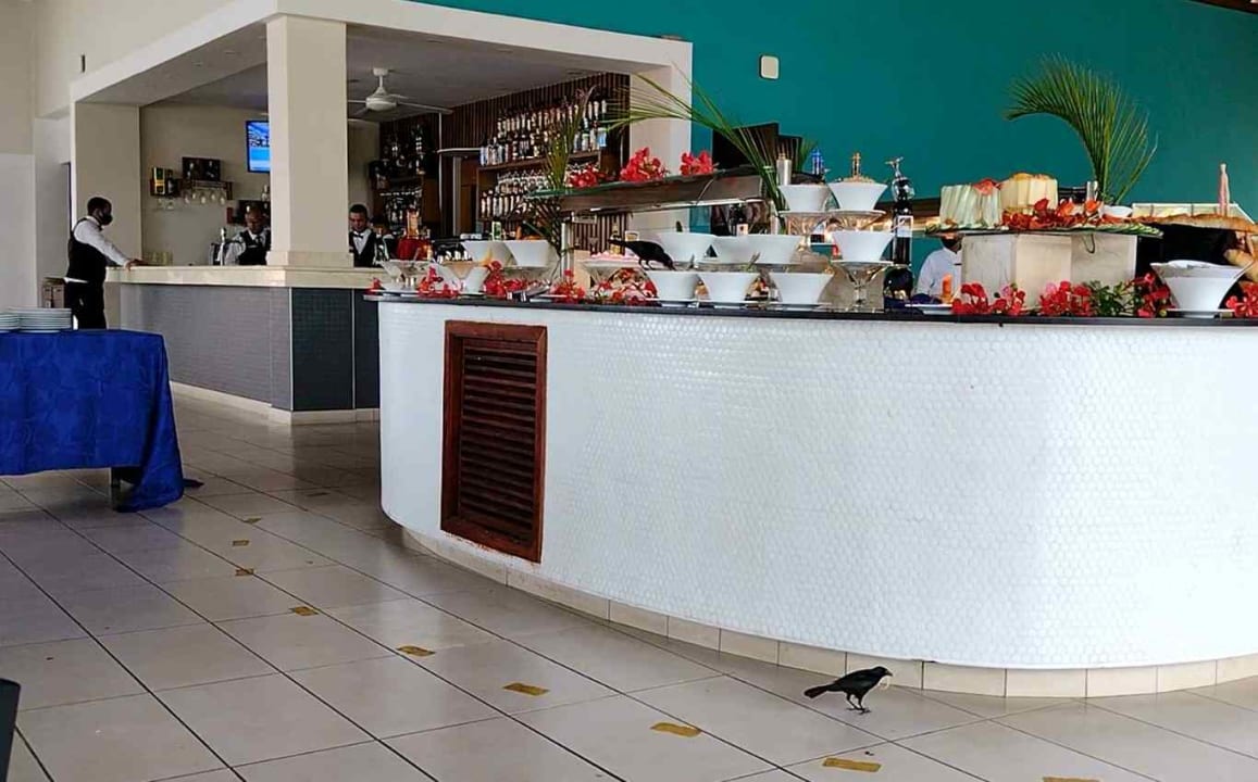 Gastro Gran Muthu Imperial