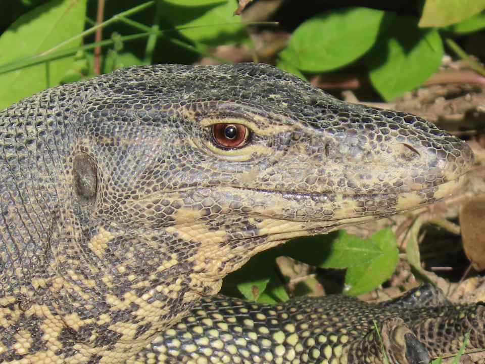 Sonstiges Hotel Pimalai Resort & Spa