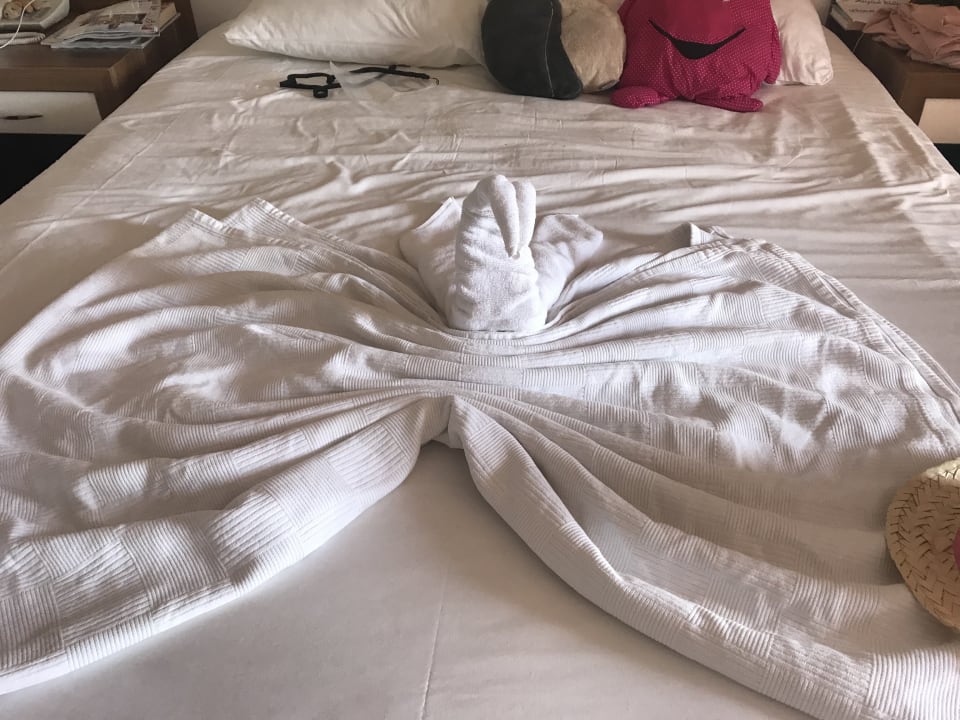 Zimmer Dizalya Palm Garden