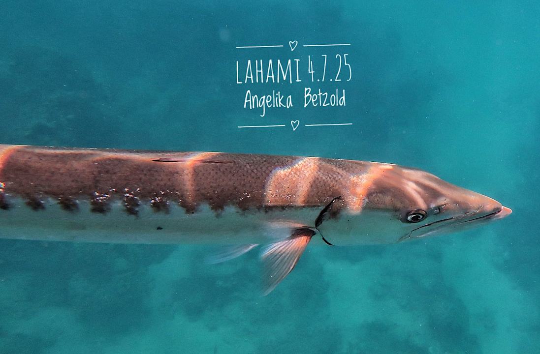 Strand Lahami Bay Beach Resort