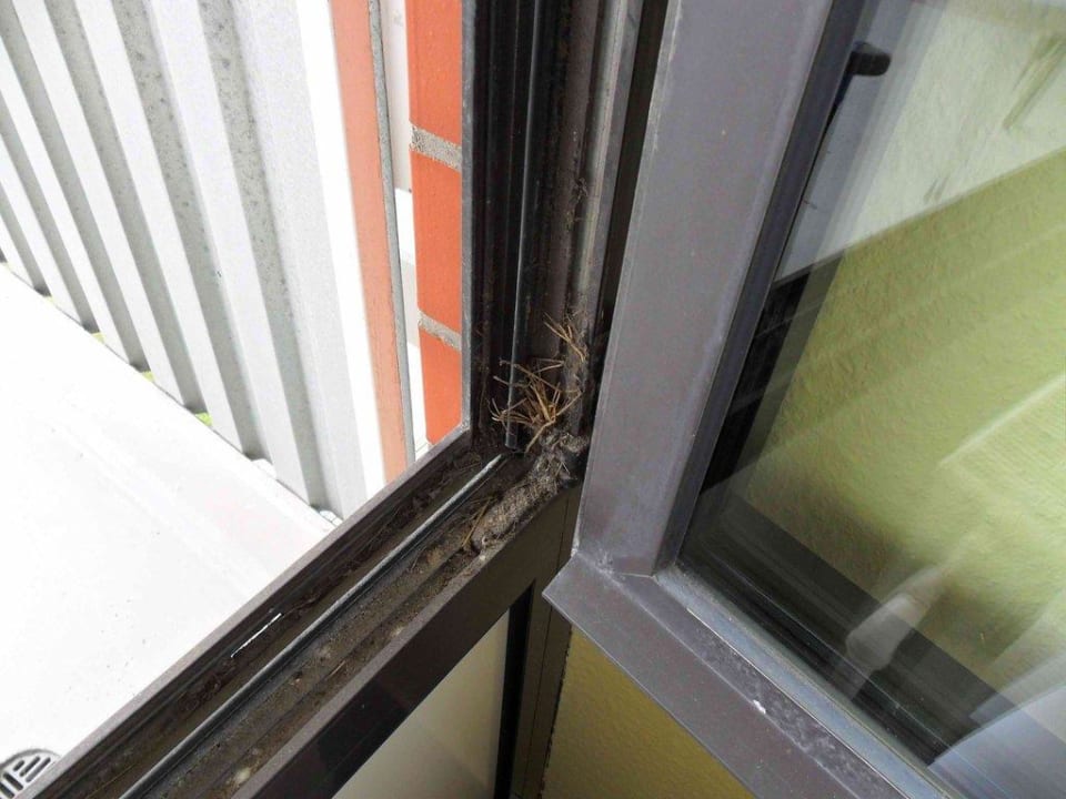 Fenster Upstalsboom Hotel am Strand