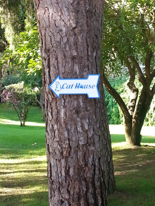 Ab zum Katzenhaus Sirene Belek Hotel