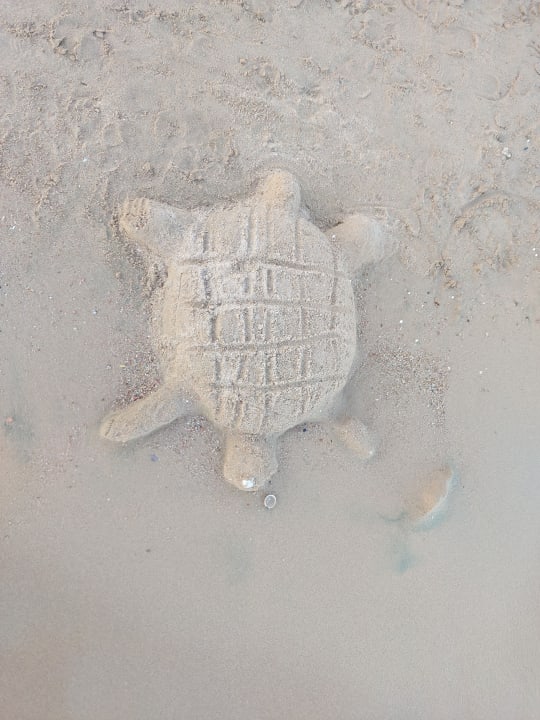 Strand Sentido Caribbean World Soma Bay