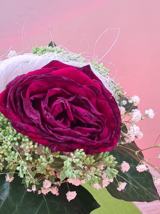 Sonstiges Hotel Ludinmühle