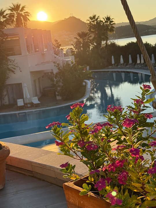 Ausblick Paloma Pasha