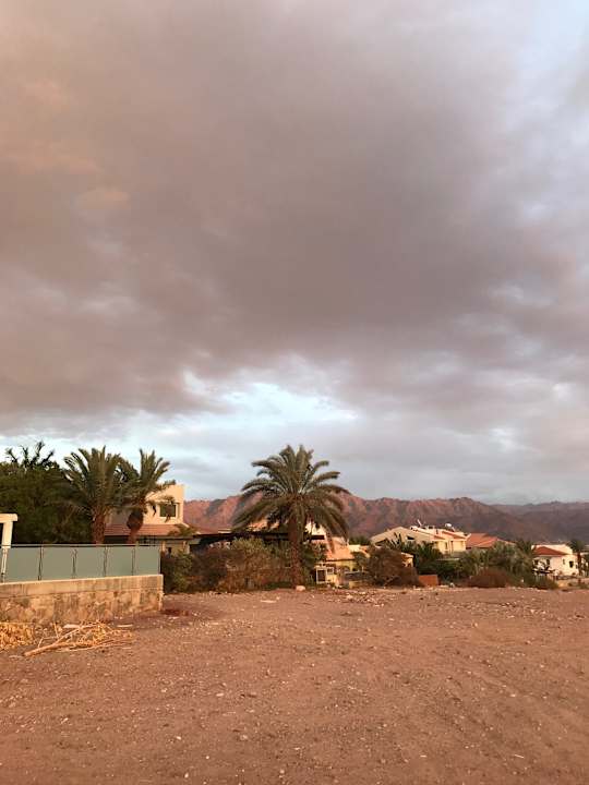 Gartenanlage Guest House Villa Custo