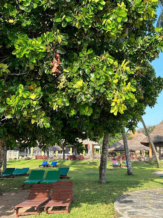 Strand Neptune Village Beach Resort & Spa