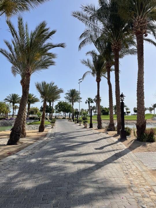 Gartenanlage Steigenberger Aqua Magic