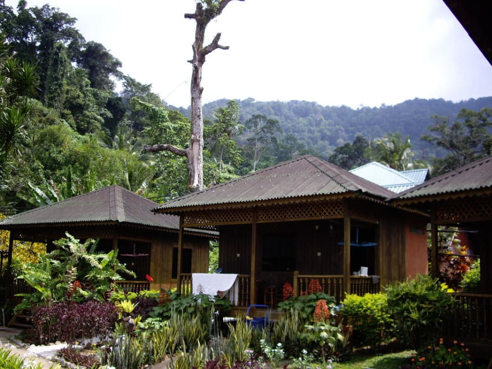 Flair, das einzige Positive ABC Chalet Tioman