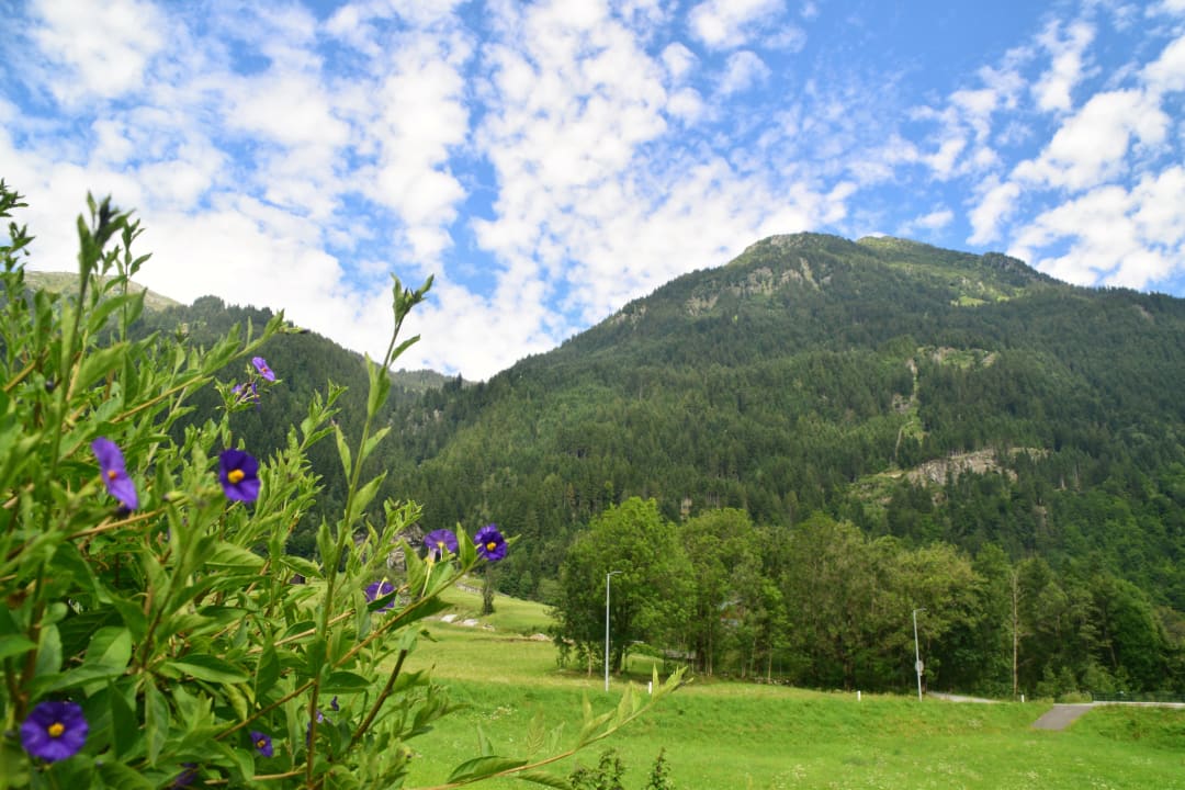 Ausblick Frühstückspension Hannelore Willi