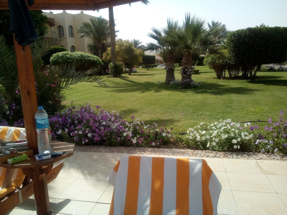 Gartenanlage Desert Rose