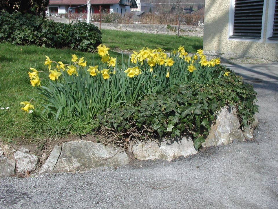 Blumengrüße Hotel-Garni Stabauer