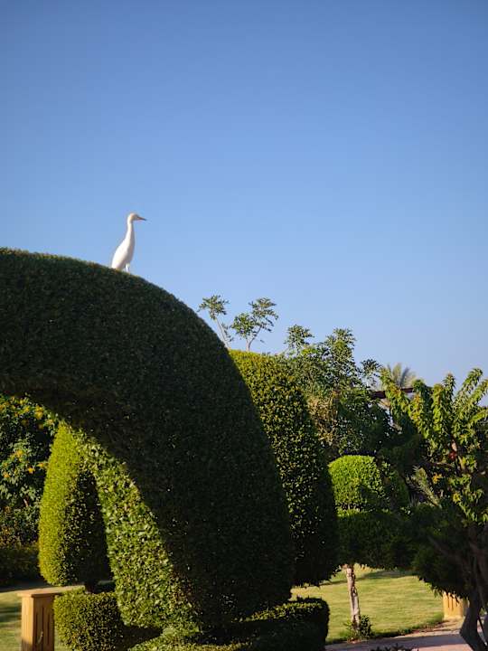 Außenansicht Wadi Lahmy Azur Resort