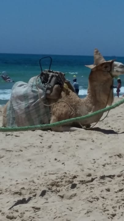 Strand Hotel Nesrine