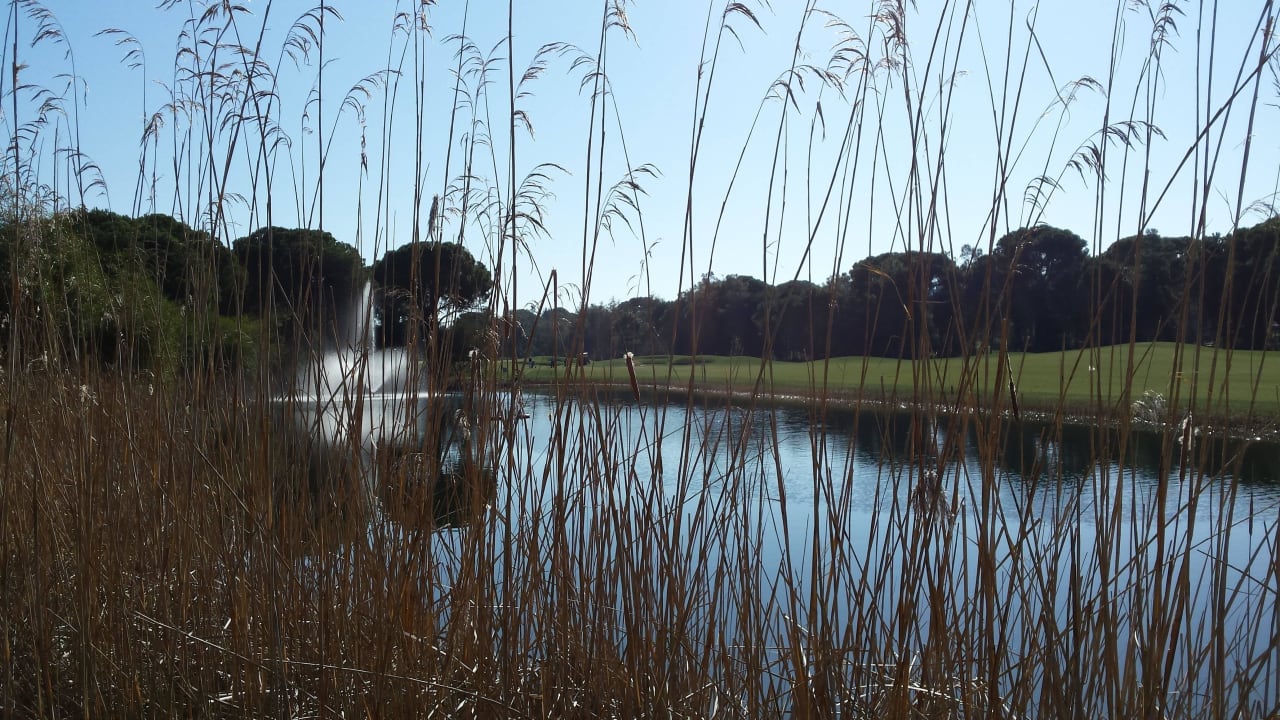 Golfplatz: Wunderschön zum spazieren! Maxx Royal Belek Golf Resort